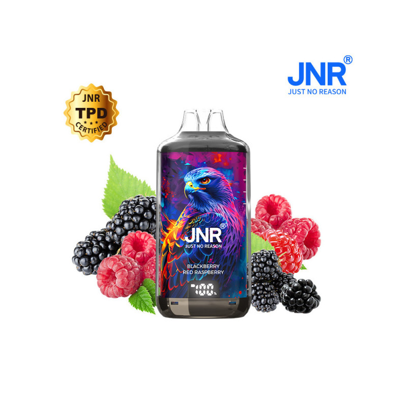 Kit Falcon X 28000 10ml (2x10ml 20mg) JNR - Blackberry Red Raspberry