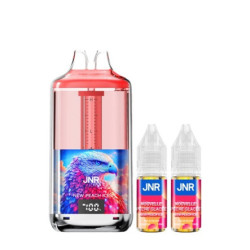 Kit Mixed Berries 30000 puffs 2x10ml - Falcon Gem + by JNR