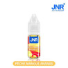 JNR - Liquides Nic salts 20MG
