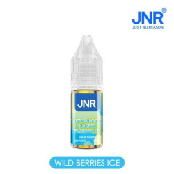 JNR - Liquides Nic salts 20MG