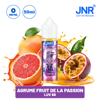 Luv66 E LIQUIDE JNR