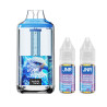 Kit New Watermelon Ice 30000 puffs 2x10ml Falcon Gem + JNR
